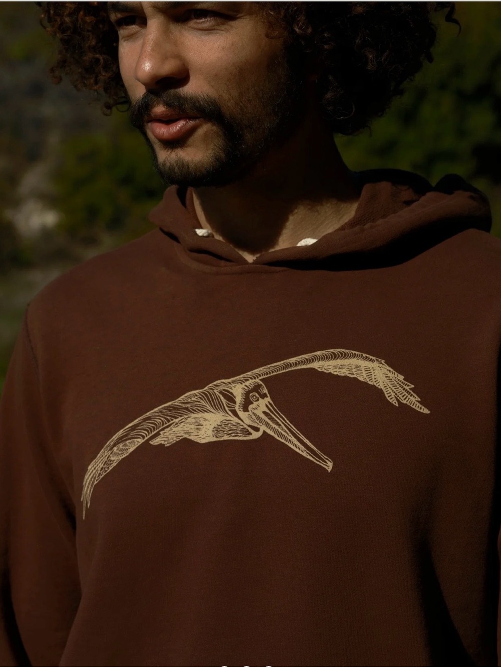 Mollusk California Brown Hooded Pelican Pullover Sweatshirt - Surfer Size: Small